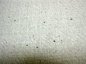 A közeli felvételen, jól láthatóak a kis lyukacskák, ahogy az alapozó beszívódott a vászonba, az ilyenek kiküszöbölése végett fontos a passzírozás. Megjegyzem, tökéletes nem lesz első rétegben, de a további alapozó rétegekkel már jó lesz. 