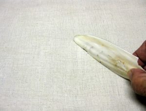A régi mesterek sokszor polírozták a vásznat szépia csonttal is. Ez az anyag az alapozott vászonnál kissé lágyabb emiatt nagyon kíméletesen lehetett vele csiszolni, a felületet rendkívüli simaságura lehet szépiával felpolírozni. Napjainkban pl. Marc Dalesio használ szépia polírozást. Ez olyan puha, hogy a kész, már megszáradt festmények felszínét is lehet vele polírozni. Ilyenkor főleg az a funkciója a procedúrának, hogy kissé nedvszívóbbá tegye az amúgy elég zsíros megszáradt festékfilmet, így könnyebb rá még egy réteget ráfesteni, de kisebb nem kívánatos élek eltüntetésére is megfelelő. Lásd a lecke legalján az egyik videót, ahol Marc demonstrálja a folyamatot. 