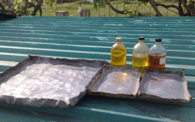 Napon sűrített lenolaj készítése házilag, oktató videó