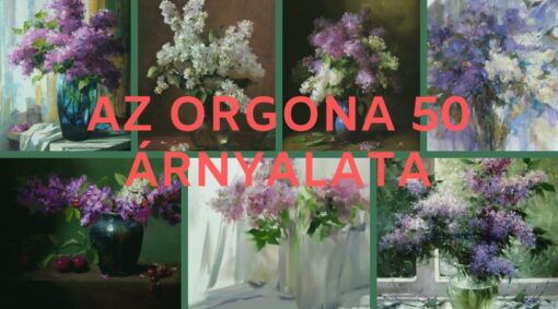 Az orgona 50 árnyalata