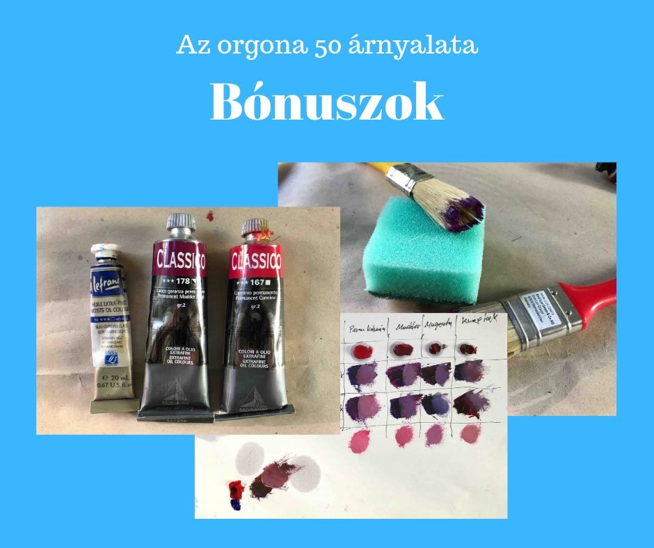 orgona-bonusz